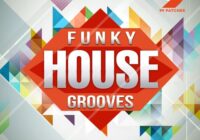 99 Patches Funky House Grooves WAV