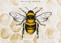 Honey Bee - Mellow Beats Sample Pack WAV