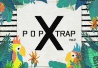 Kryptic Samples Pop X Trap Vol.2 WAV MIDI