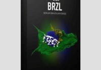 Standalone-Music BRZL - BRAZILIAN BASS Presets For Serum By 7 SKIES