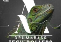 Drum & Bass Tech & Rollers Sample Pack MULTIFORMAT