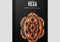 Standalone-Music HEXA - Future House For Serum Vol.1
