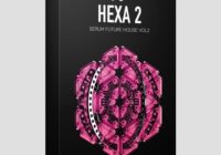 Standalone-Music HEXA - Future House For Serum Vol.2
