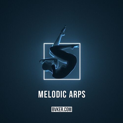 BVKER Melodic Arps Sample Pack