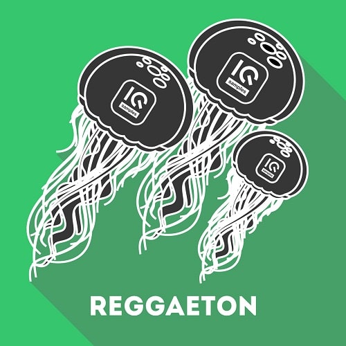 IQ Samples Reggaeton Sample Pack WAV