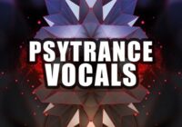 TD Audio Psytrance Vocals Sample Pack WAV