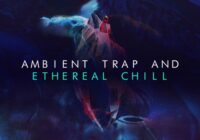 Komorebi Audio Ambient Trap & Ethereal Chill WAV