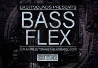 Eksit Sounds Bass Flex For Serum