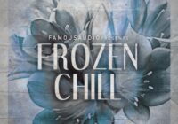 FA113 Frozen Chill Sample Pack WAV