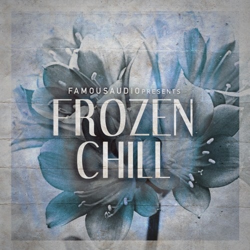 FA113 Frozen Chill Sample Pack WAV - Plugintorrent