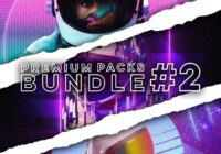 Synth Ctrl Premium Pack Bundle 2