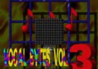 Midimark Vocal Bytes v3.0 WAV
