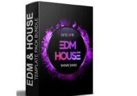 Ancore Sound EDM & House Logic Template Bundle