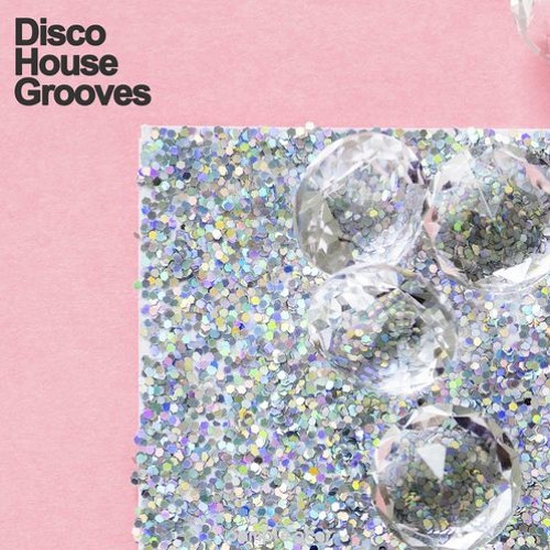 Samplestar Disco House Grooves Sample Pack