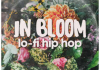 Orbit Sounds In Bloom Lofi Hip Hop WAV FXP