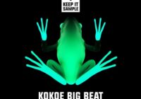 Keep It Sample Kokoe Big Beat Sample Pack
