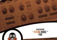 Shocking Future House Vol.2 For Spire