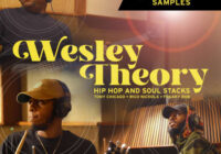 Jammcard Samples Wesley Theory: Hip-Hop & Soul Stacks WAV