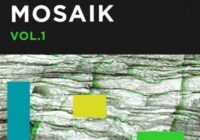 Samplesound Mosaik Volume 1 WAV