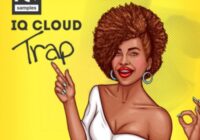 IQ Samples IQ Cloud Trap WAV
