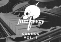 Jazzfeezy Sounds Vol.1 WAV