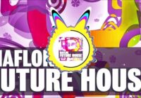 Maflok Future House Sample Pack & Presets