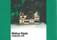 Samplestar Mellow Reels: Melodic Lofi WAV