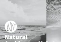 PSE: The Producer's Library Natural Ambiences Vol.1 WAV