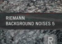 Riemann Background Noises
