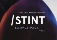 Venice Way Studios Presents STINT Sample Pack WAV