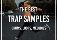 The Best Trap Sample Pack WAV FL Studio & Ableton Project
