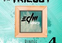 The Trilogy Bundle Vol 4 EDM Vibes