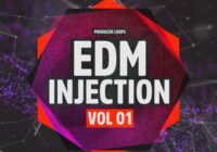 Producer Loops EDM Injection Vol.1