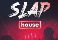 Slap House (Sample Pack & Serum Presets)