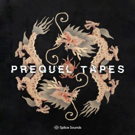 Sounds from the Dragon Room by Prequel Tapes WAV