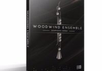 NI Symphony Essentials - Woodwind Ensemble v1.3 KONTAKT