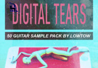 TrakTrain Digital Tears by LOWTOW WAV