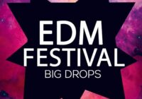 EDM Festival Big Drops [WAV MIDI]