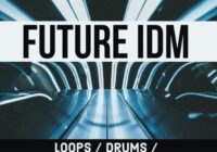 Future IDM