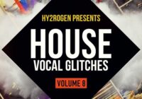 House Vocal Glitches 8