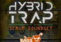 Hybrid Trap for Serum