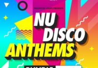Producer Loops Nu Disco Anthems Vol.1-3 Bundle