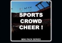 Sports Crowd Cheer