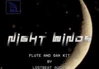 Traktrain Night Winds Flute & Sax Kit by Lostbeat Audio WAV