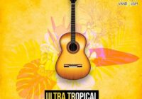 Ultra Tropical House Guitars WAV
