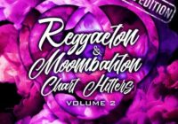 Equinox Sounds Reggaeton & Moombahton Chart Hitters Vol.1 WAV MIDI