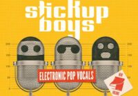Stick Up Boys Electronic Pop Vocals Volume 4