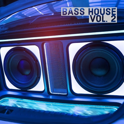 Bass House Vol.2 Sample Pack & Synth Presets Plugintorrent