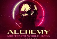 Alchemy Mid Tempo World Bass
