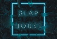 Cr2 Slap House WAV MIDI